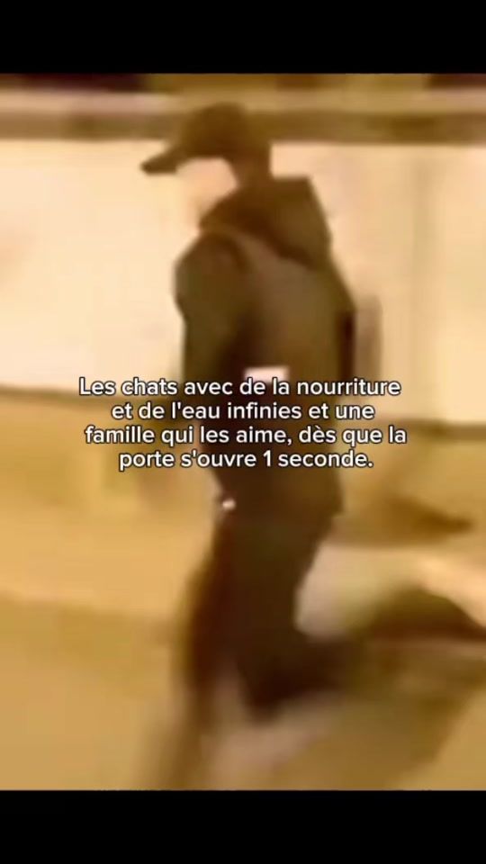 TikTok video thumbnail by teo_gtr