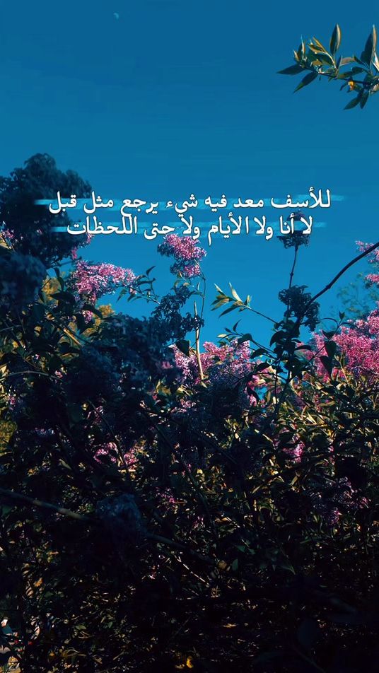 TikTok video thumbnail by amnadahi