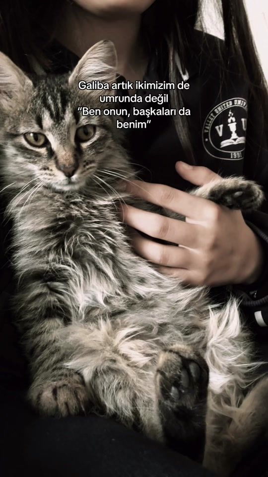 TikTok video thumbnail by zali8588