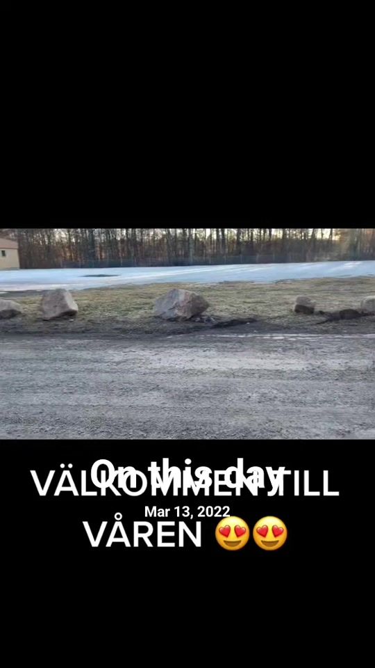 TikTok video thumbnail by chevastolpe