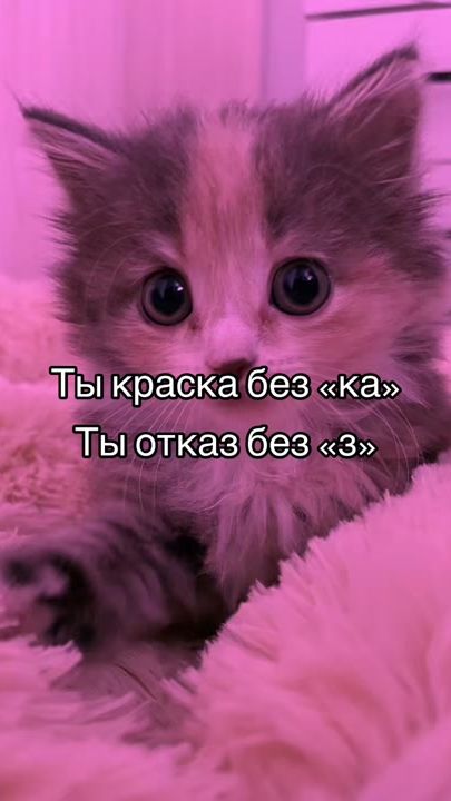 TikTok video thumbnail by gh00stly1