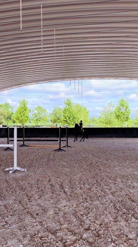 TikTok video thumbnail by eventing_nr