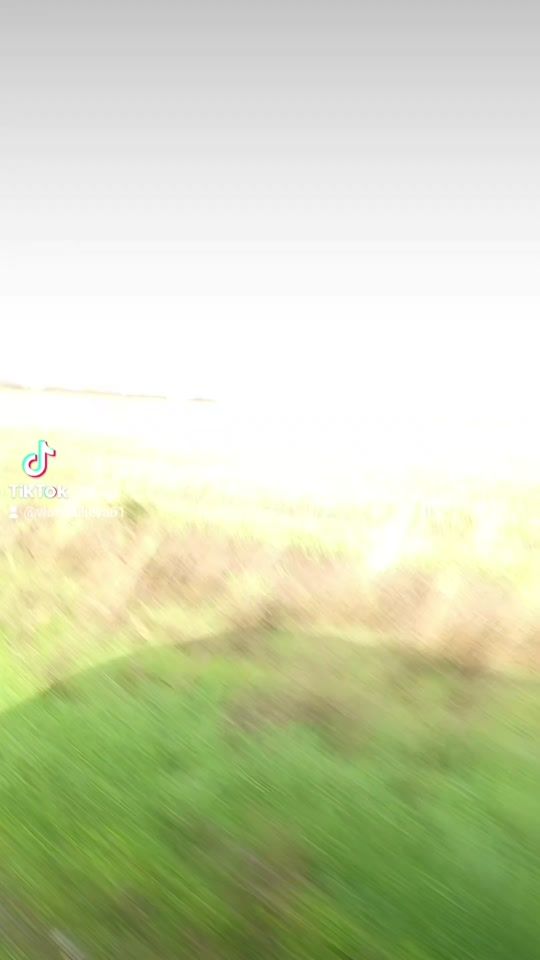 TikTok video thumbnail by violetailieva61