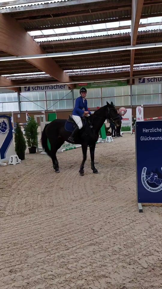 TikTok video thumbnail by scally.showjumping