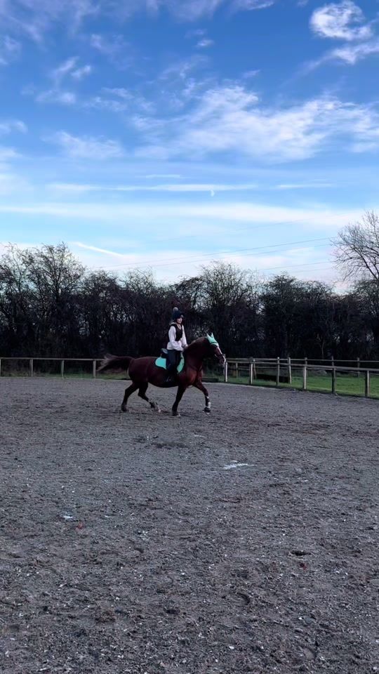 TikTok video thumbnail by elsa.eqqx