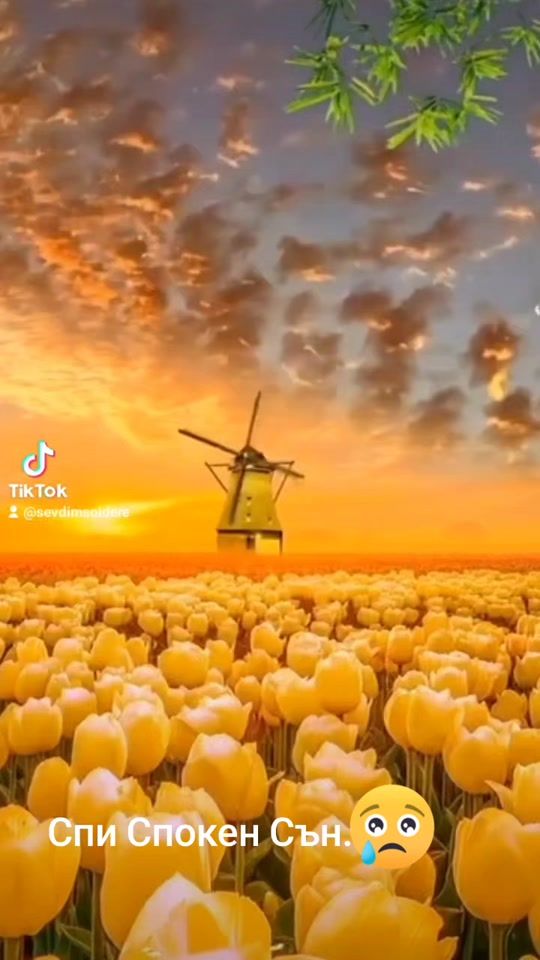 TikTok video thumbnail by sevdimsoidere
