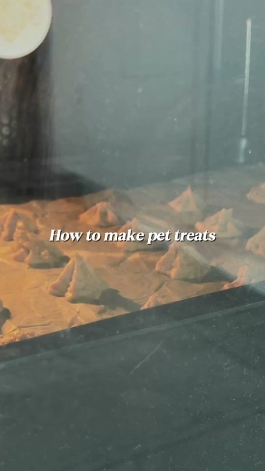 TikTok video thumbnail by leo.tiger.nala
