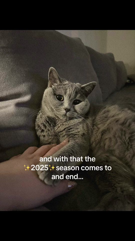 TikTok video thumbnail by kittylili