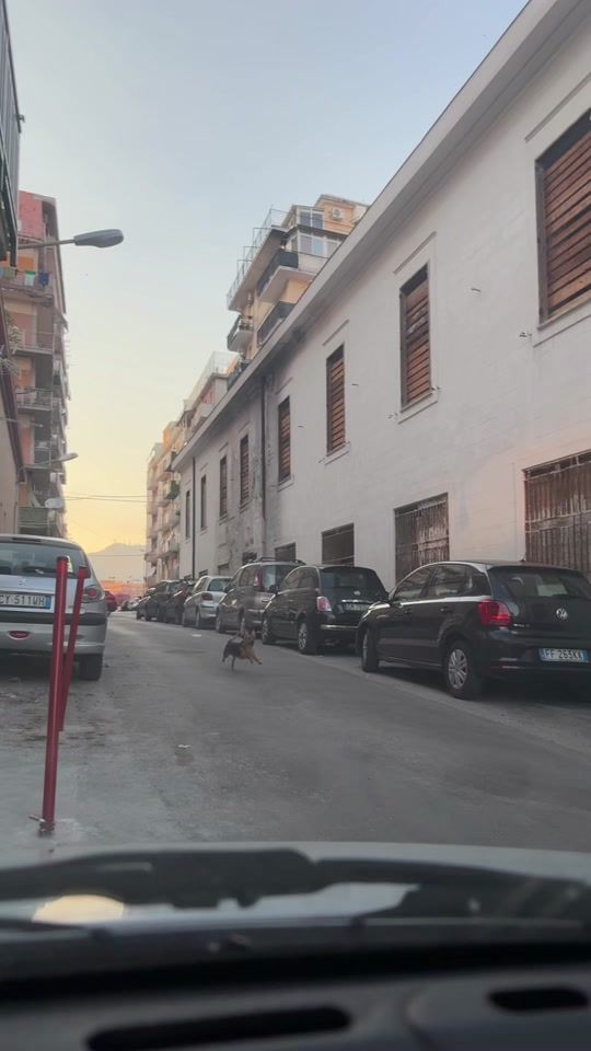 TikTok video thumbnail by giovy.fricano