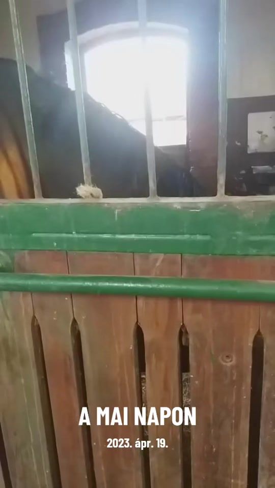 TikTok video thumbnail by sanyika209
