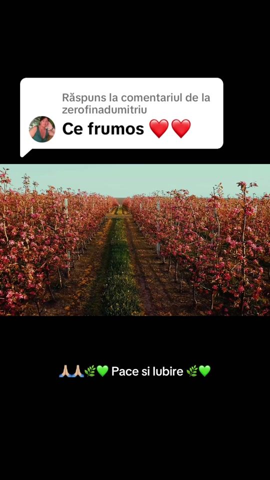 TikTok video thumbnail by soulharmonyvibe