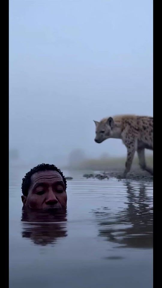 TikTok video thumbnail by wildbitex