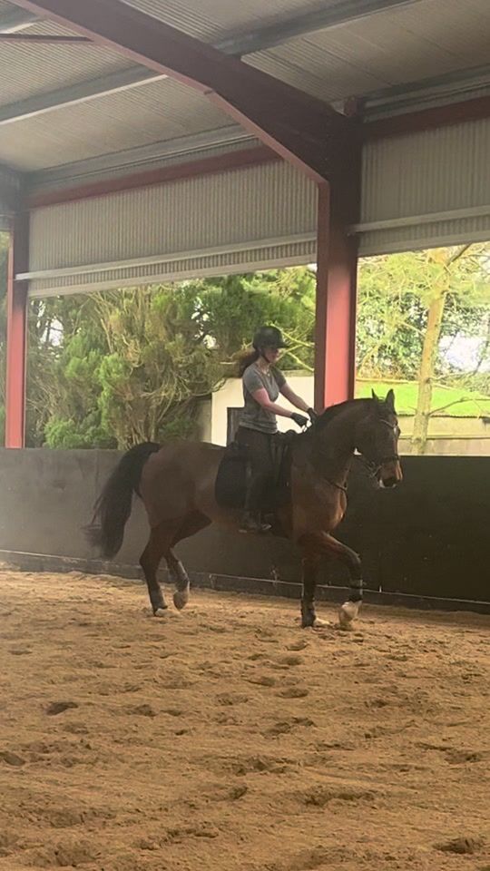 TikTok video thumbnail by madimcs.eventing