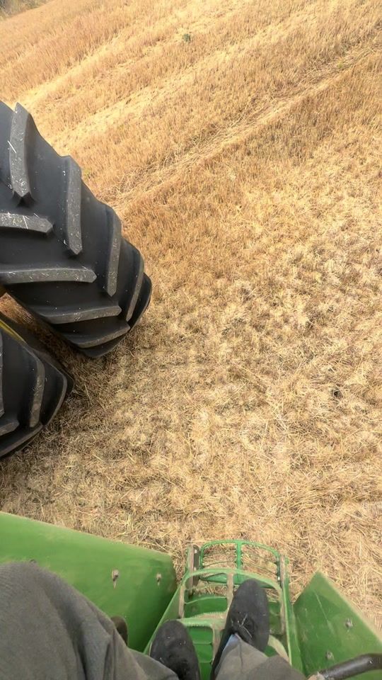 TikTok video thumbnail by agro_europe