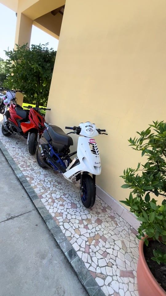 TikTok video thumbnail by riccardo_saccon