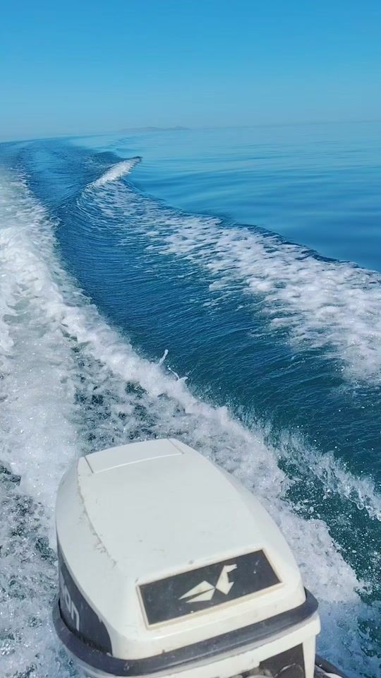 TikTok video thumbnail by hamadiabbassi6