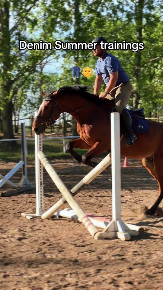 TikTok video thumbnail by material_horses