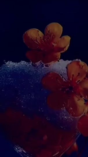TikTok video thumbnail by jaan3272
