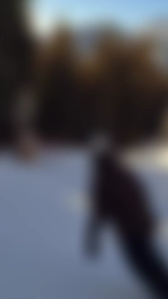 TikTok video thumbnail by zol888888