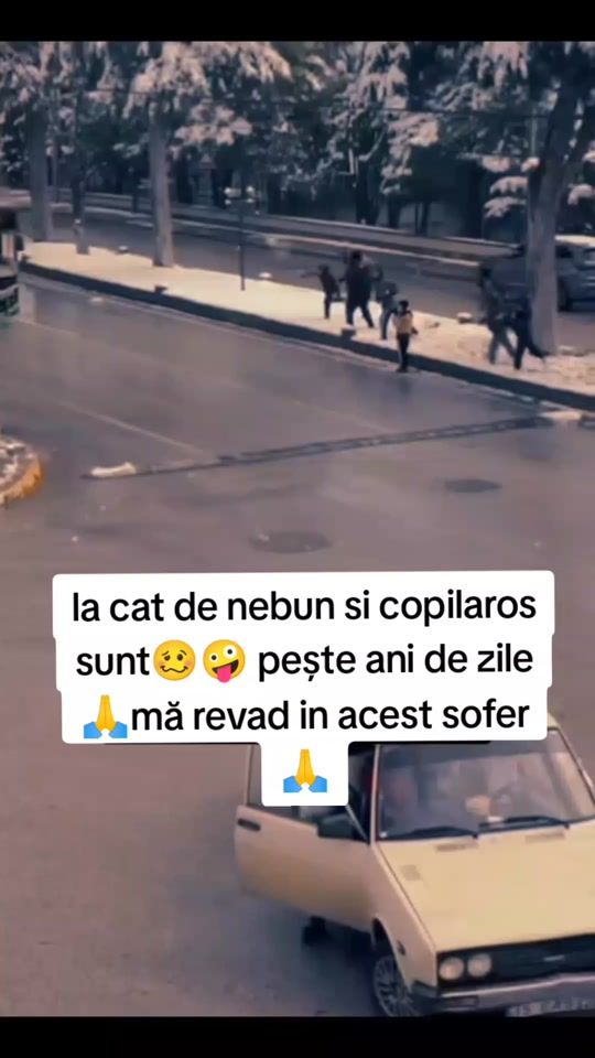 TikTok video thumbnail by andreilaleauaneagra