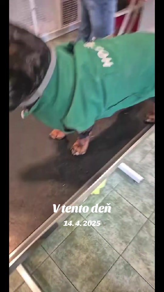 TikTok video thumbnail by matyi187