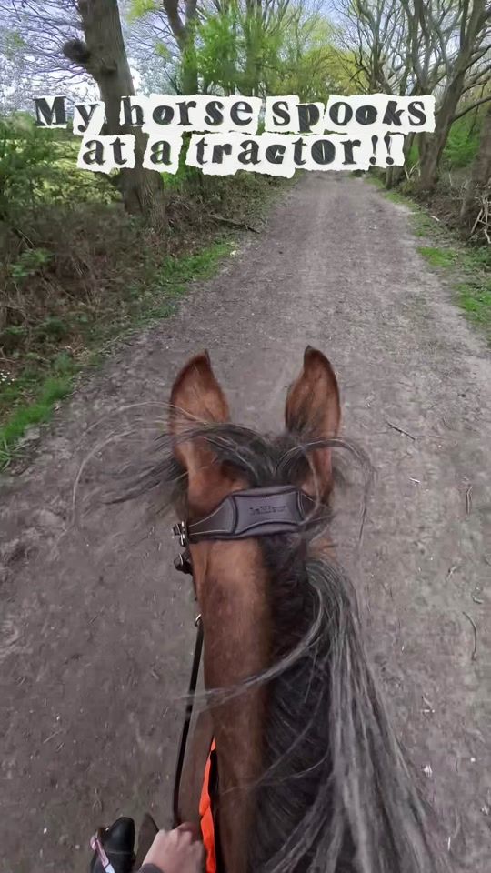 TikTok video thumbnail by toni.florentina