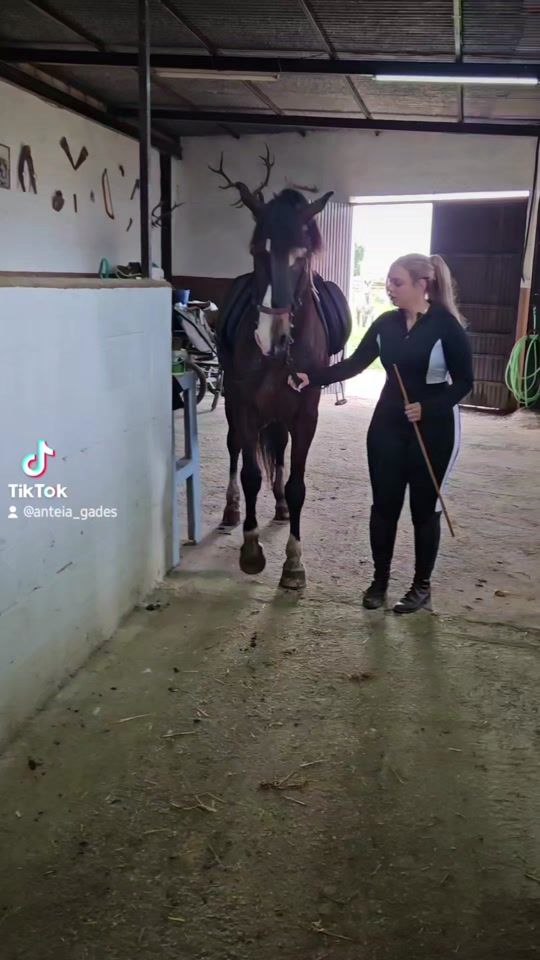 TikTok video thumbnail by anteia_gades