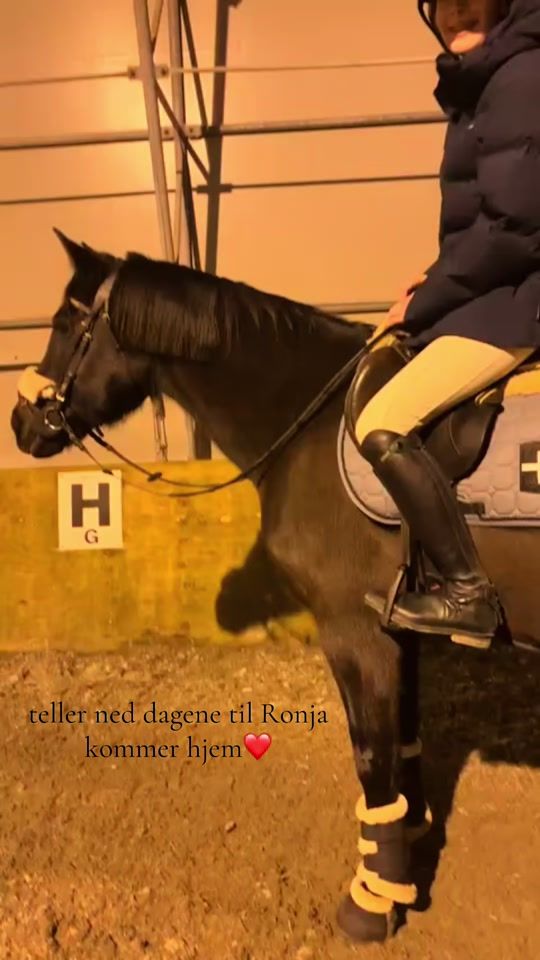 TikTok video thumbnail by equi_fiona