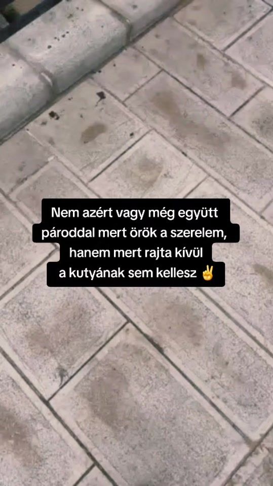 TikTok video thumbnail by makaay17