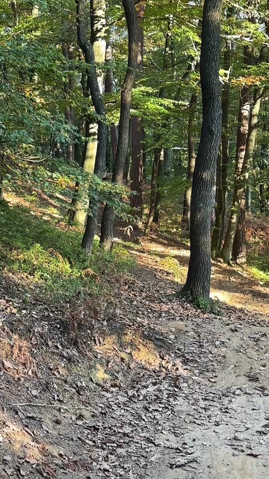 TikTok video thumbnail by kalinsek7