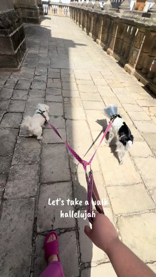 TikTok video thumbnail by anabelukyshow