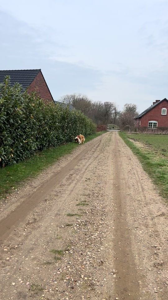 TikTok video thumbnail by beatuling