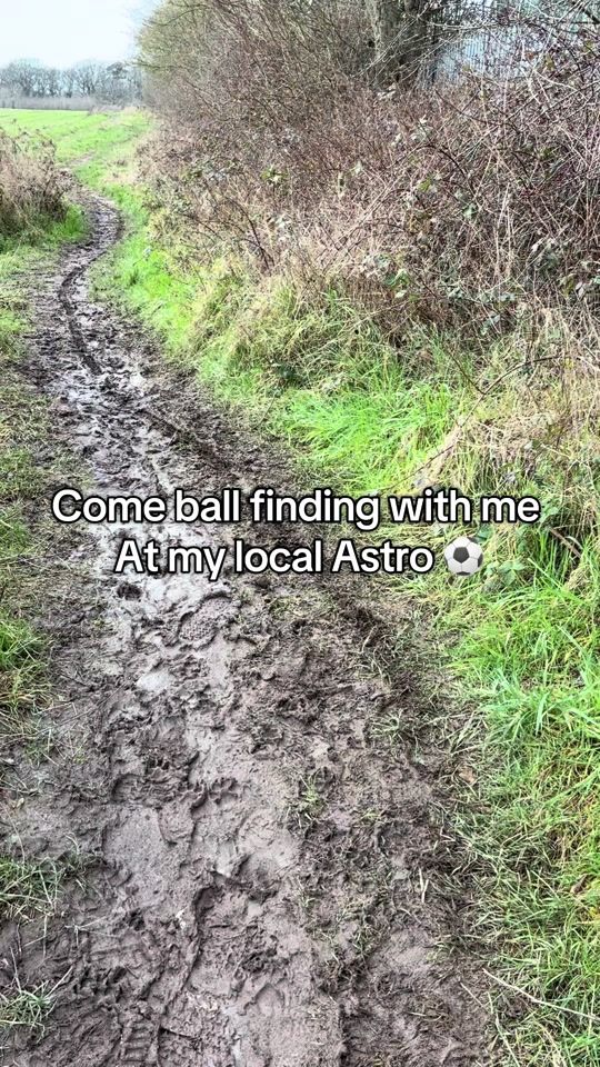 TikTok video thumbnail by ball_finding