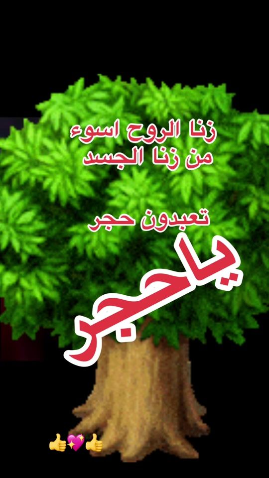 TikTok video thumbnail by solibo38