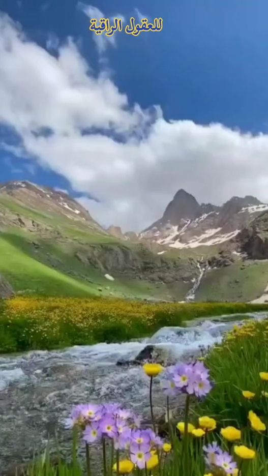 TikTok video thumbnail by 600_minds