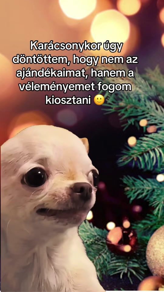 TikTok video thumbnail by mirrorimagee