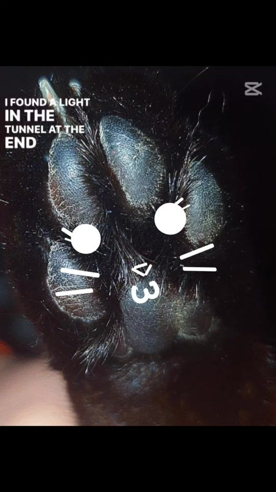 TikTok video thumbnail by iuli02022