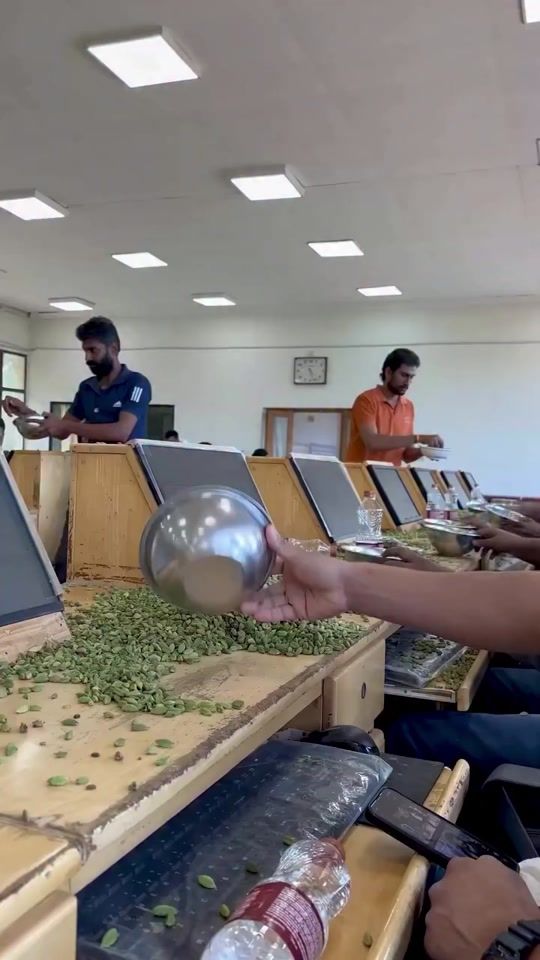 TikTok video thumbnail by cardamom.plantati