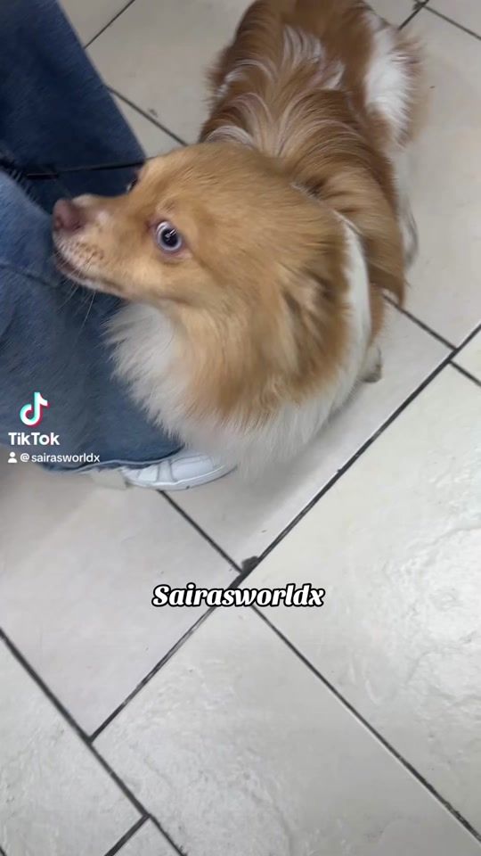 TikTok video thumbnail by sairasworldx