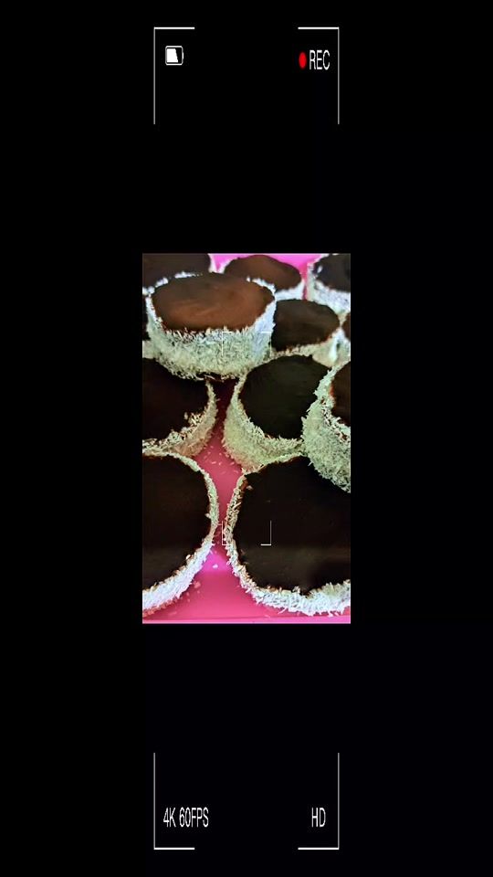 TikTok video thumbnail by rita961218