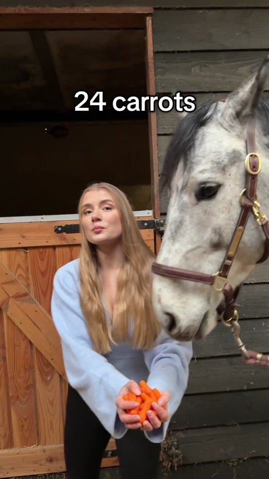 TikTok video thumbnail by claranorling