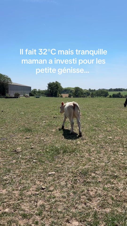 TikTok video thumbnail by yoan__da_