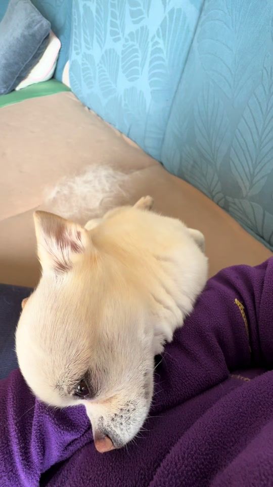 TikTok video thumbnail by didiognam