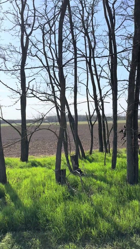 TikTok video thumbnail by _azerdei_