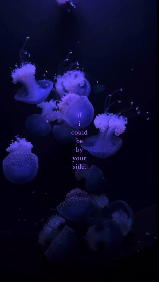 TikTok video thumbnail by aes.uvv6