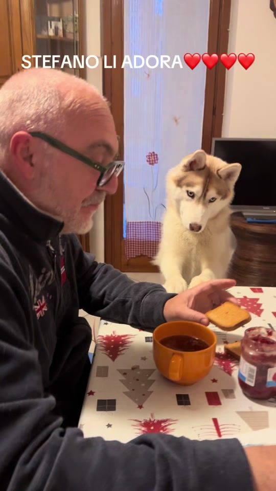 TikTok video thumbnail by angelasarafrigeni