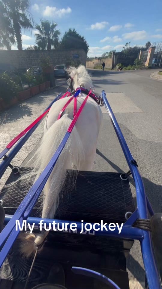 TikTok video thumbnail by boccafarson