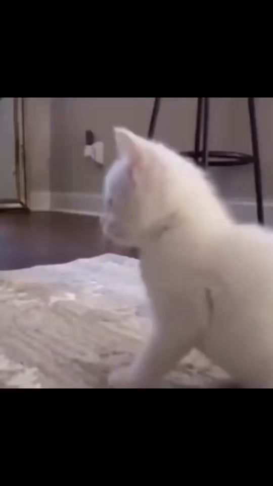 TikTok video thumbnail by dylan___9058