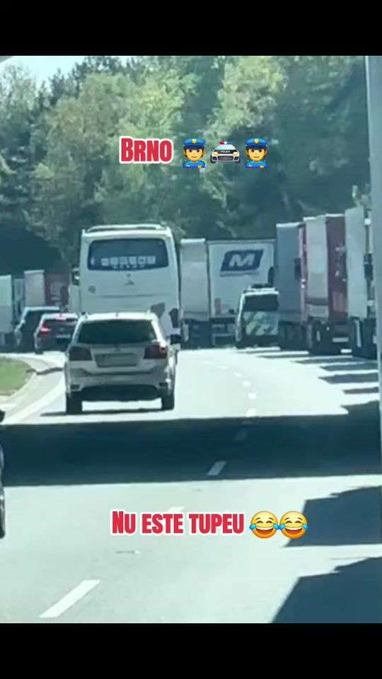 TikTok video thumbnail by puica.vasile87