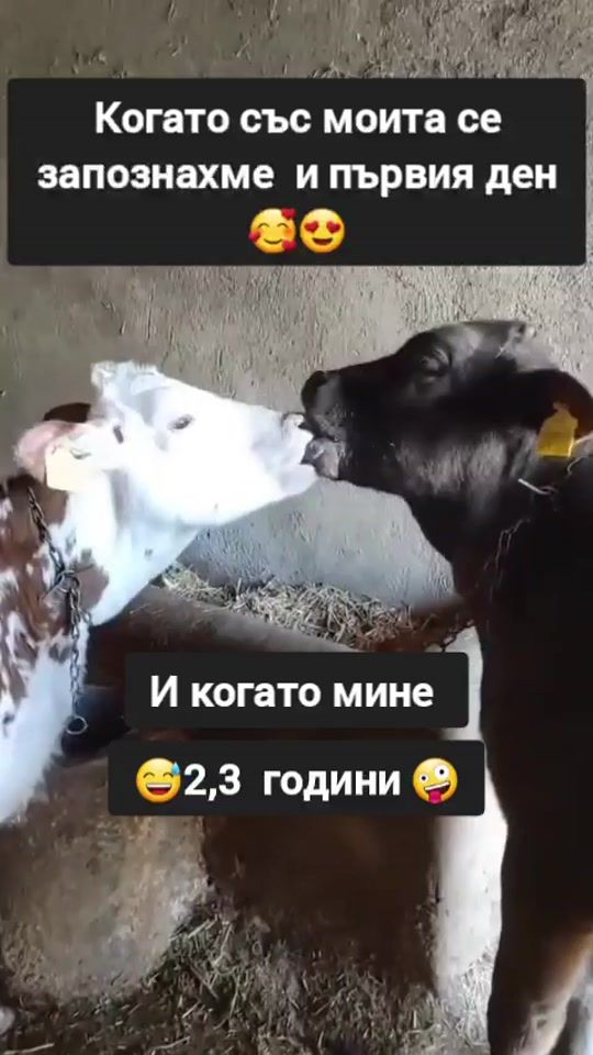 TikTok video thumbnail by dancemusic58